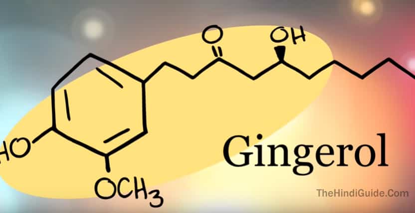 gingerol in ginger