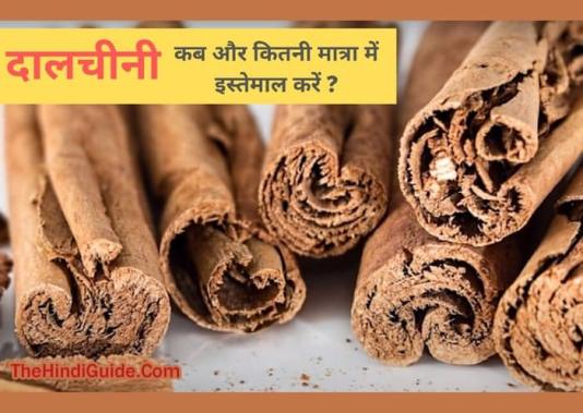 types of dalchini in hindi