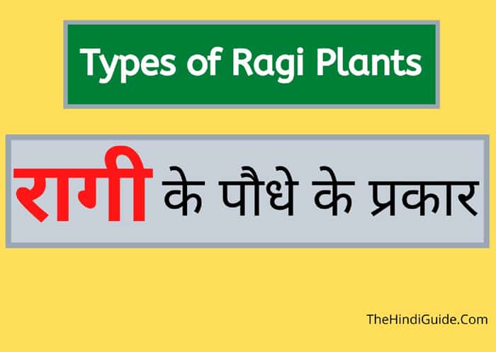 ragi benefits in hindi